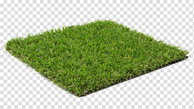 Artificial turf Lawn Europarkett store, shop floor Tree Carpet, tree transparent background PNG clipart