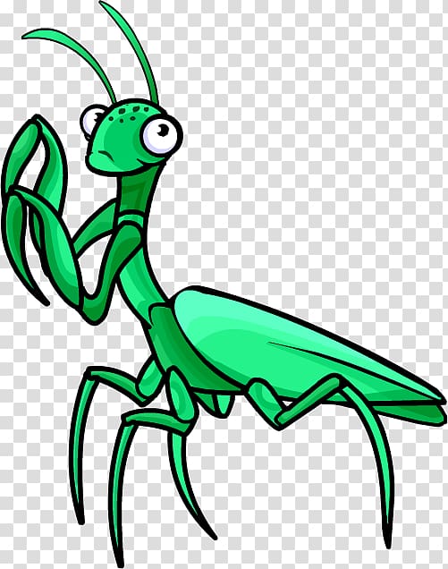 Insect European mantis , pray transparent background PNG clipart