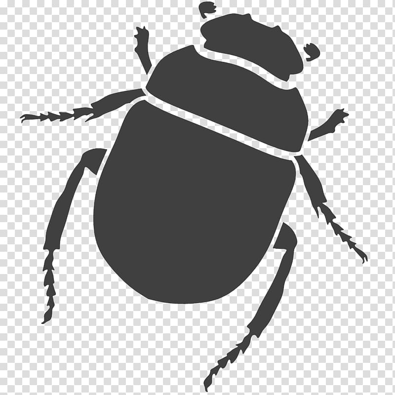 Beetle Constructive solid geometry Computer-aided design AutoCAD Solid modeling, beetle transparent background PNG clipart