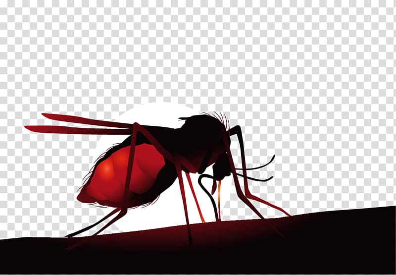 Mosquito net Insect Zika virus Hematophagy, cartoon creative lifelike flies transparent background PNG clipart