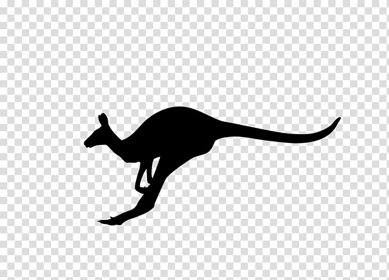 Macropodidae Australia Kangaroo Silhouette, kangaroo transparent background PNG clipart