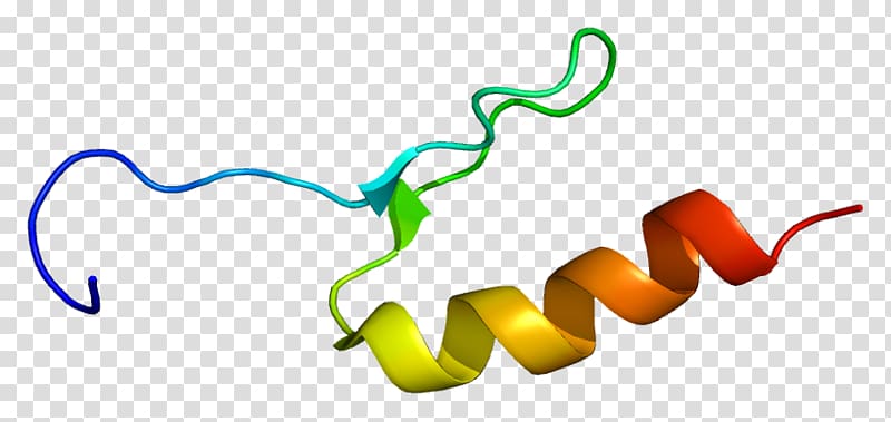 Sp3 transcription factor Protein Sp1 transcription factor, others transparent background PNG clipart