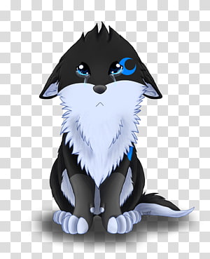 Whiskers Cat Dog Canidae Snout, Cat transparent background PNG clipart thumbnail