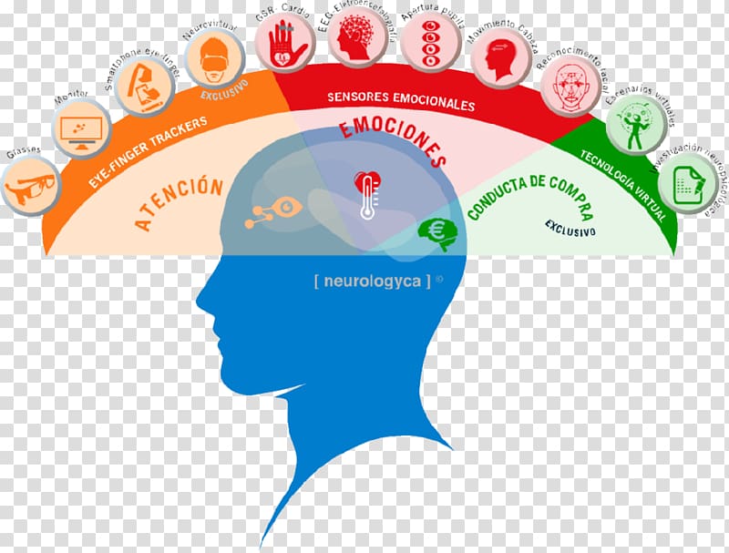 Neuromarketing Neuroscience Attention Neuroimaging Emotion, attention transparent background PNG clipart