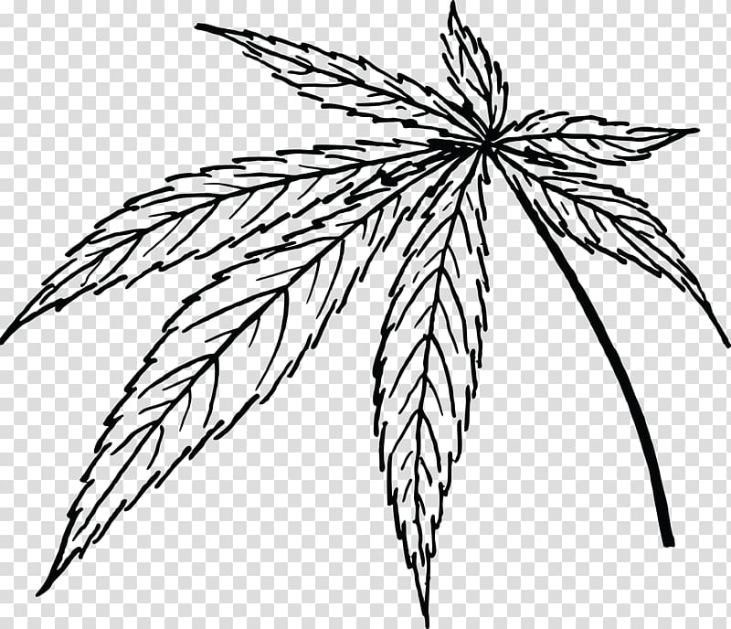 Leaf Marijuana Cannabis sativa , cannabis transparent background PNG clipart