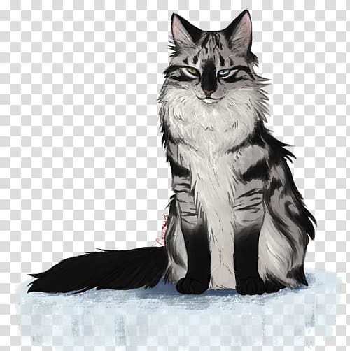 Maine Coon Norwegian Forest Cat Kitten Whiskers Domestic Short Haired Cat Disguise Transparent Background Png Clipart Hiclipart