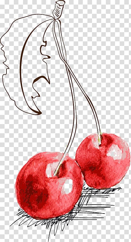 Fruit Cherry Illustration, Hand-painted cherry transparent background PNG clipart