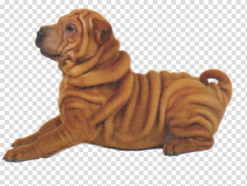 Shar Pei Puppy Dog breed Companion dog Dogs Unleashed, puppy transparent background PNG clipart