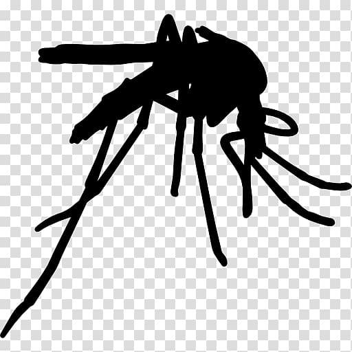 Yellow fever mosquito Insect Mosquito control , mosquito transparent background PNG clipart