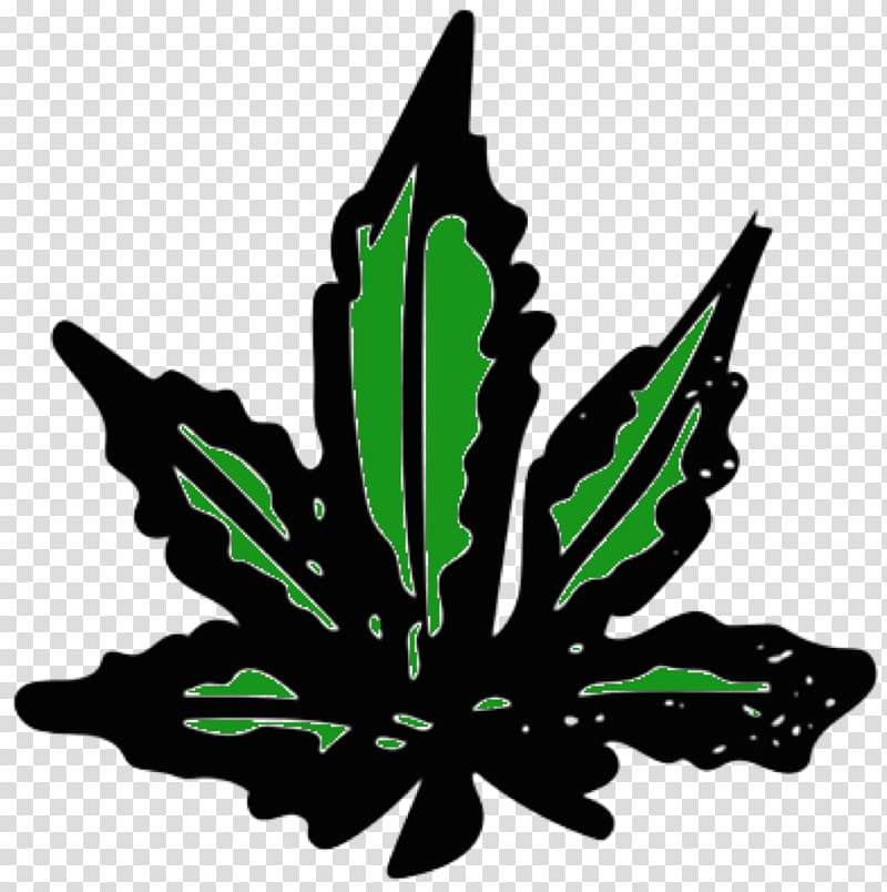 Cannabis Drug test Head shop Formula Bong, weed transparent background PNG clipart