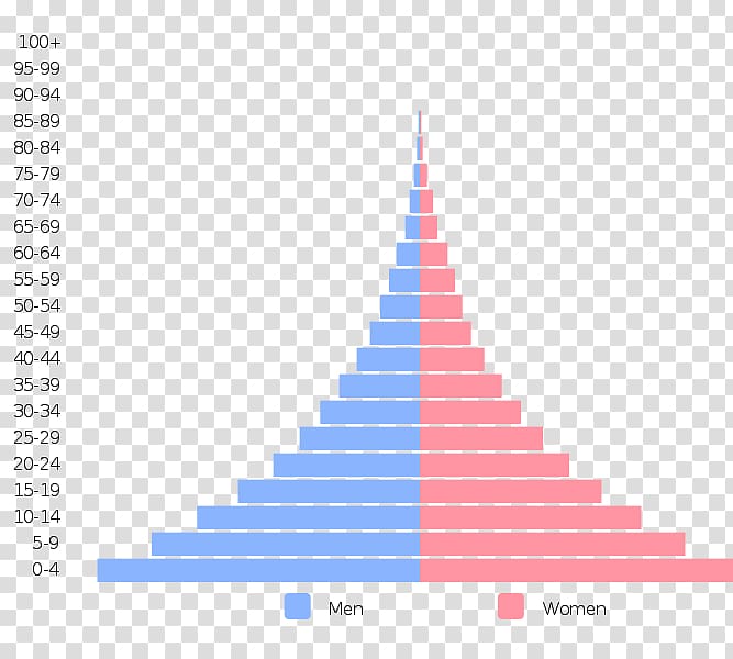 Population pyramid World population Demography Population growth, pyramid transparent background PNG clipart