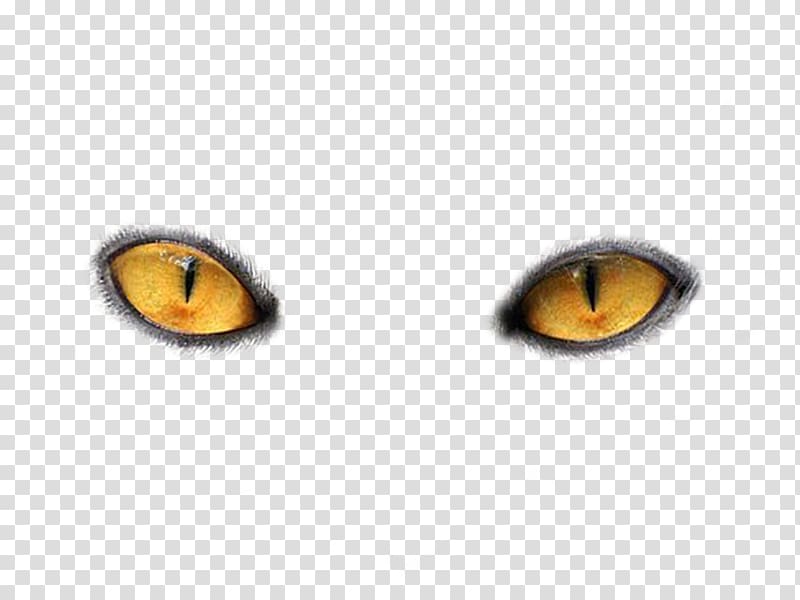 pair of yellow cats eyes, Cat\'s eye Light, Eyes transparent background PNG clipart