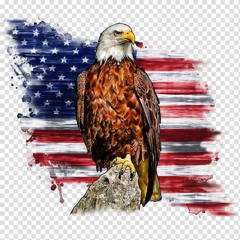 Bald eagle Liberty Bell Flag of the United States T-shirt, T-shirt transparent background PNG clipart