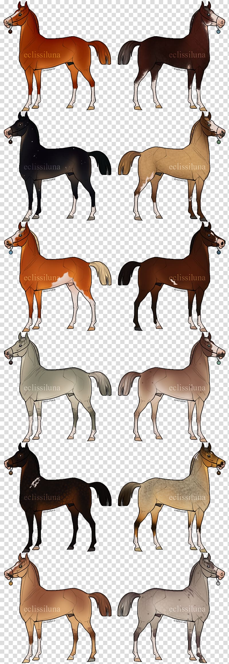 Canidae Deer Horse Mammal Dog, chestnut appaloosa transparent background PNG clipart