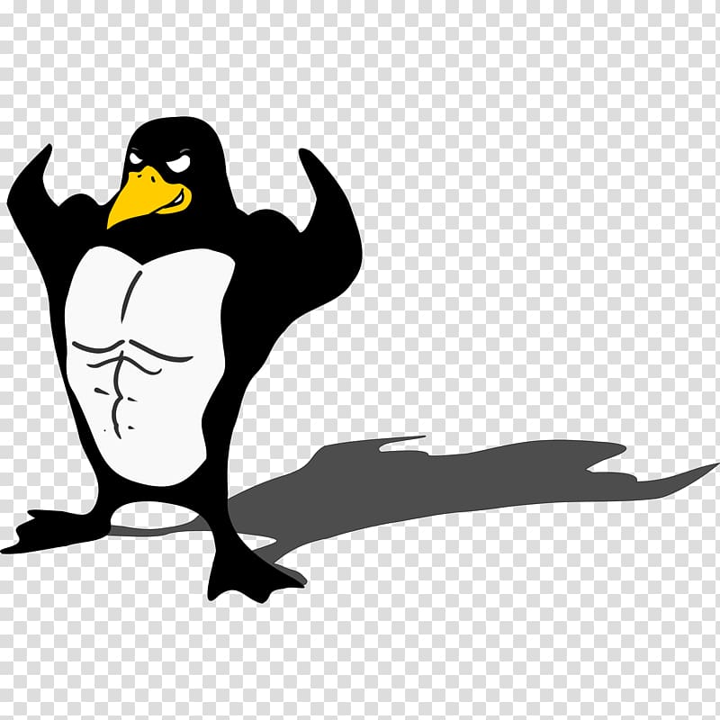 Penguin Muscle Biceps Arm , strong transparent background PNG clipart