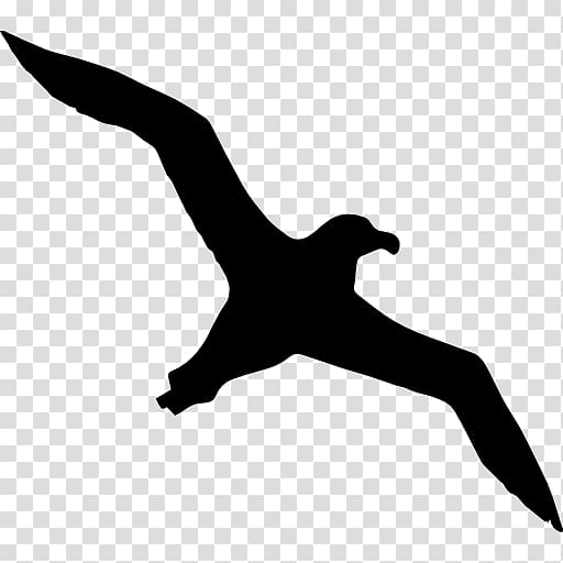 Bird Gulls Mollymawk Silhouette, albatross transparent background PNG clipart