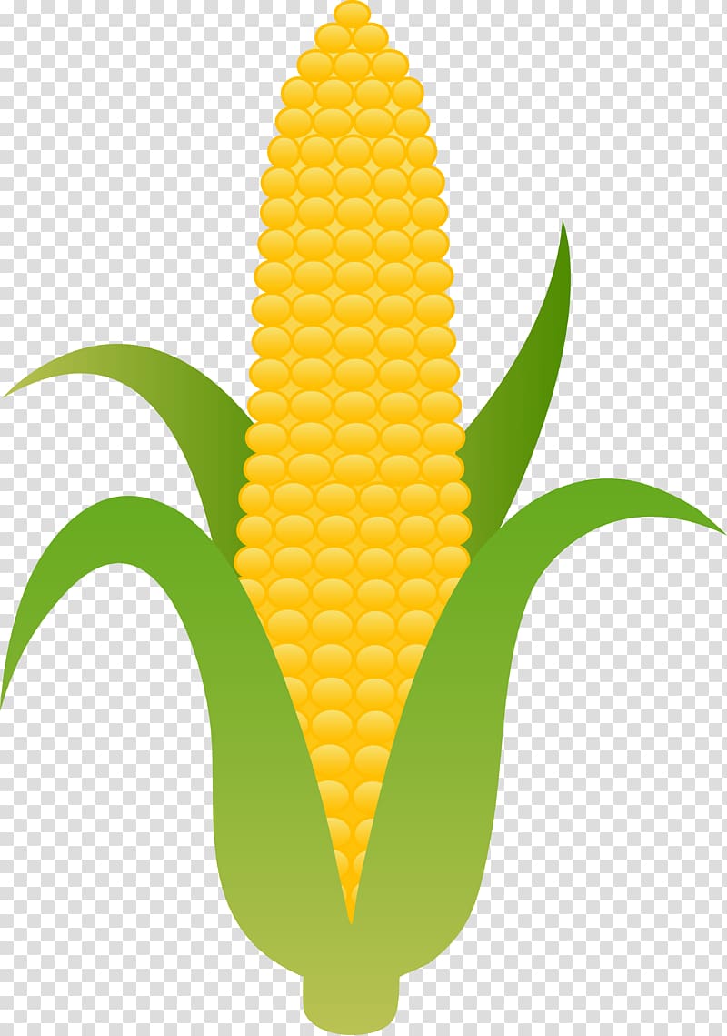 corn art, Corn on the cob Candy corn Sweet corn , Fall Corn transparent background PNG clipart