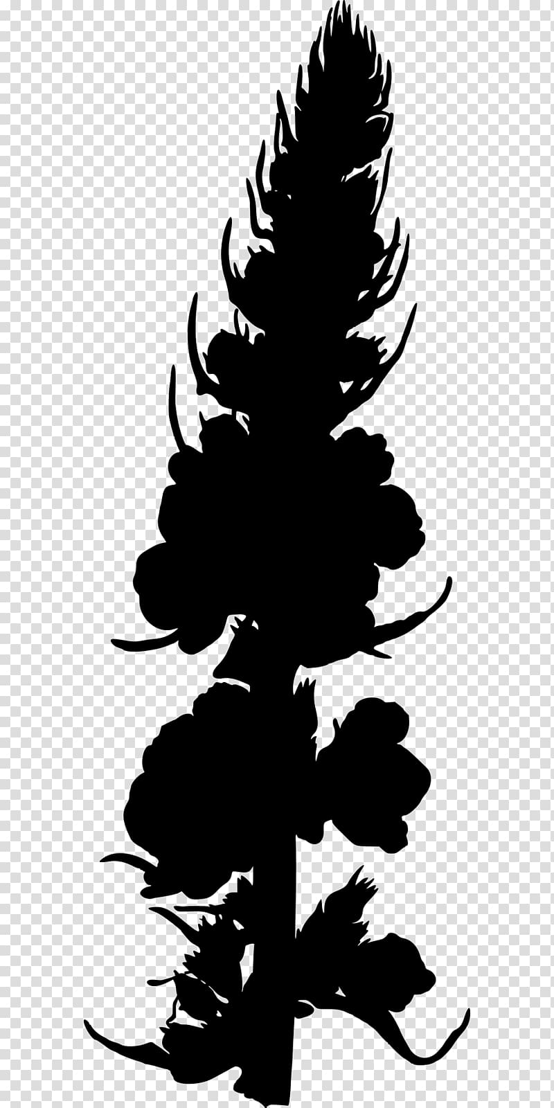 Medicinal plants Verbascum nigrum , herb transparent background PNG clipart