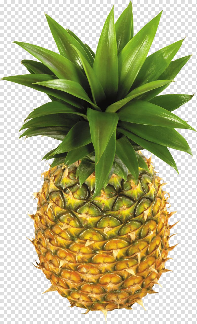 Pineapple Fruit , Pineapple Fruit transparent background PNG clipart
