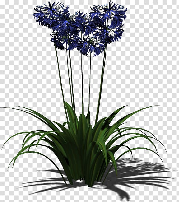 Plant Floral design Flowerpot Cut flowers, plant transparent background PNG clipart