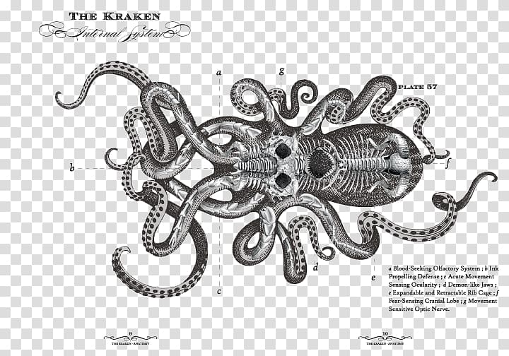 Kraken Rum Le chant du Kraken Octopus, others transparent background PNG clipart