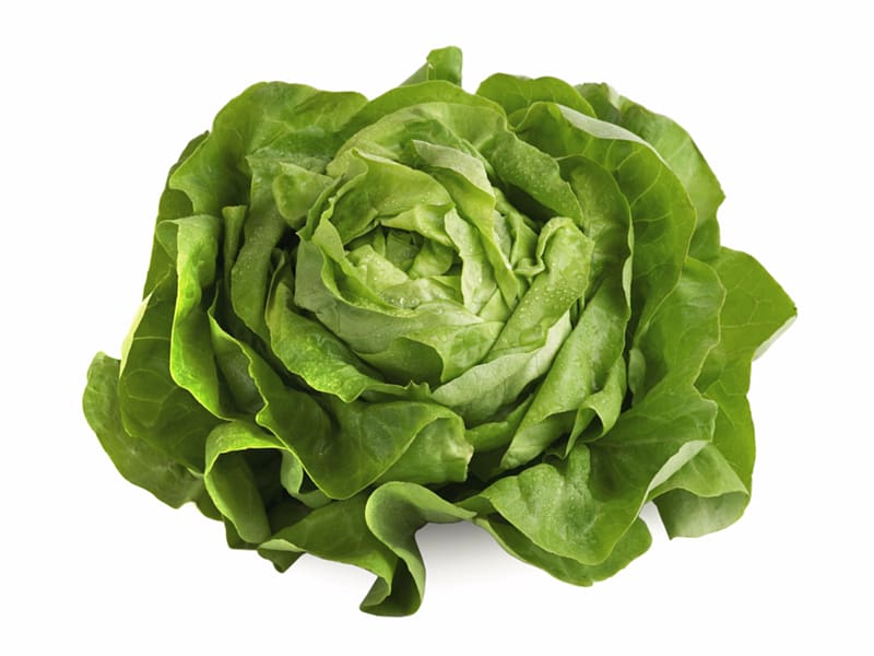 Organic food Iceberg lettuce Romaine lettuce Leaf vegetable Salad, lettuce transparent background PNG clipart