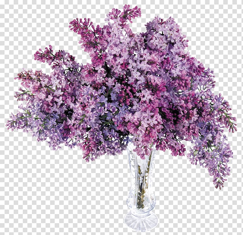 pink petaled flowers in clear glass vase, Lilac Computer file, Vase with Lilac transparent background PNG clipart