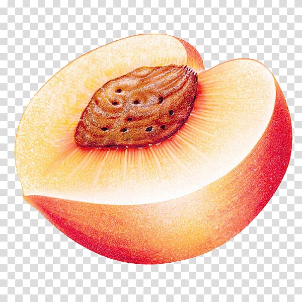 Peach Auglis Computer file, Half peaches transparent background PNG clipart