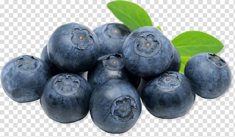 blueberries illustration, Blueberries Close Up transparent background PNG clipart