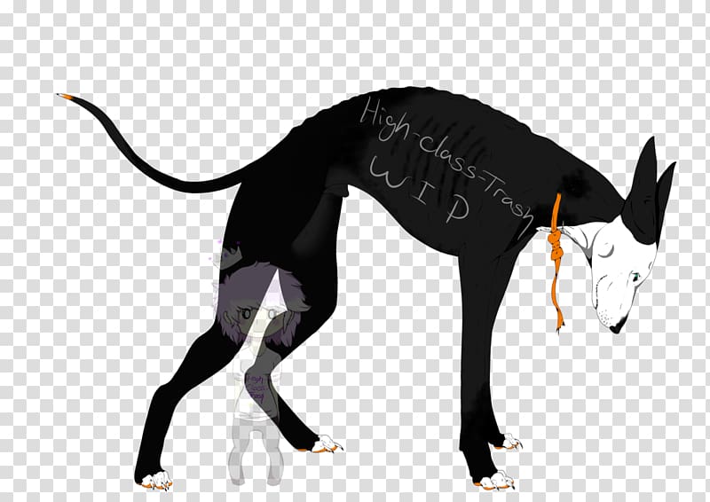 Dog breed Italian Greyhound Cat, Cat transparent background PNG clipart