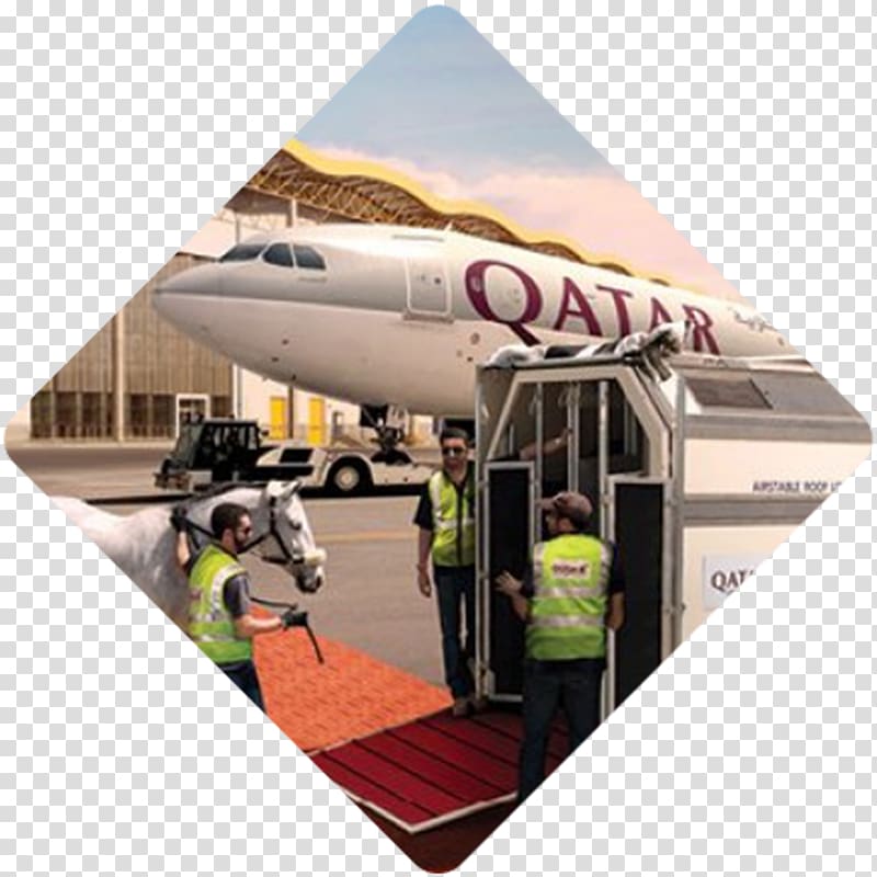 Doha Cargo airline Transport Air cargo, harsh environment transparent background PNG clipart