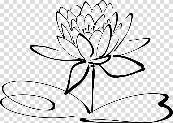 Drawing Line art Black and white , White Lotus Flower transparent background PNG clipart