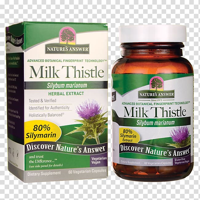 Herb Dietary supplement Extract Capsule Milk thistle, Milk thistle transparent background PNG clipart