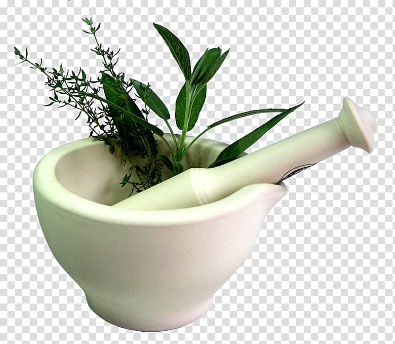 white mortar and pestle with green herb, Herbalism Medicine Alternative Health Services Ayurveda, Stirred herbs transparent background PNG clipart