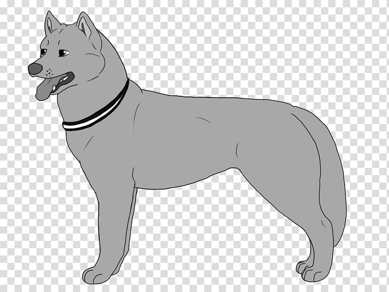 Dog breed Canaan Dog Norwegian buhund Kishu, Husky SiBERIAN transparent background PNG clipart