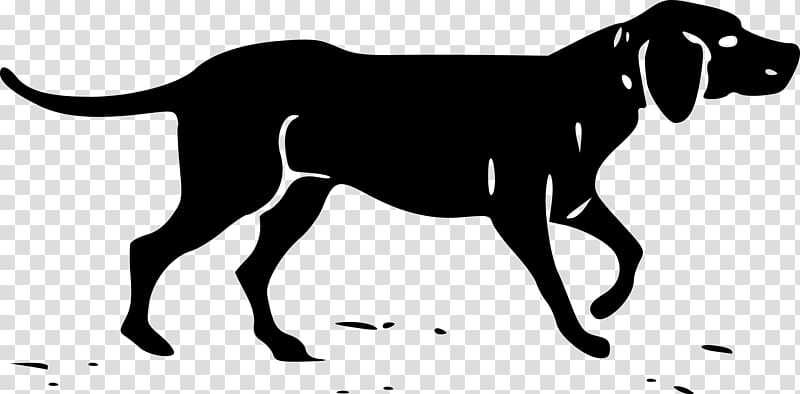 Basset Hound Southern Hound Hunting dog , dogs transparent background PNG clipart