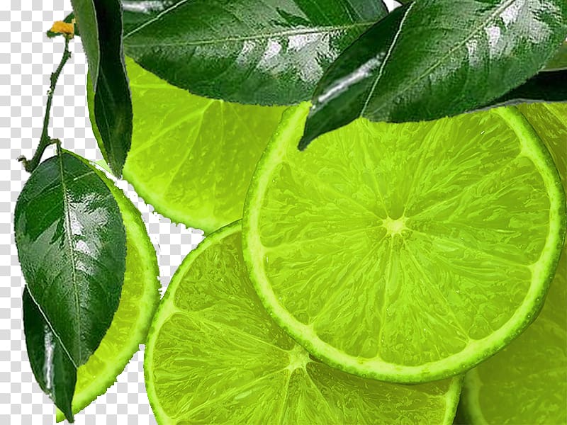 Lemon Sour Lime Desktop Green, Green lemon slices creative perspective transparent background PNG clipart