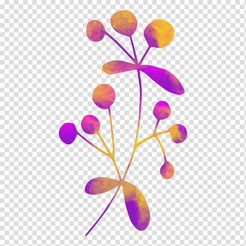 Euclidean Flower, Floral element graphic transparent background PNG clipart