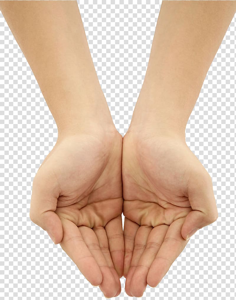 a plan view of the water holding hands transparent background PNG clipart
