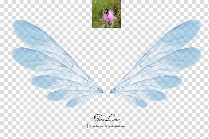 Tinker Bell Fairy Disney Fairies, wings transparent background PNG clipart