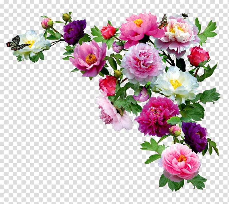 Drawing, flower bouquet transparent background PNG clipart
