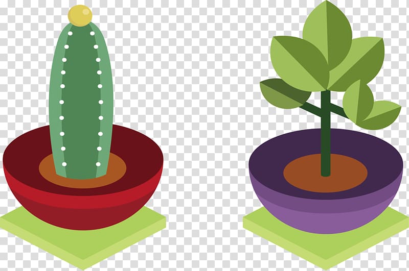 Cactaceae Plant Euclidean , Potted cactus transparent background PNG clipart