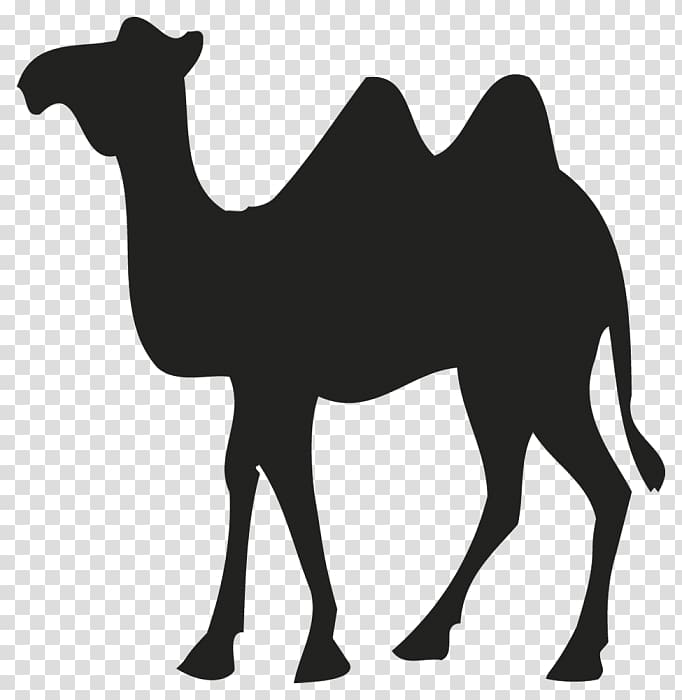 Dromedary Bactrian camel Sticker Logo, design transparent background PNG clipart