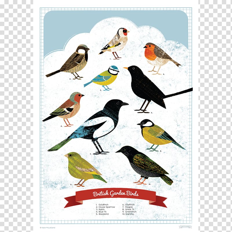 British Garden Birds Finch Poster Bird Feeders, poster transparent background PNG clipart