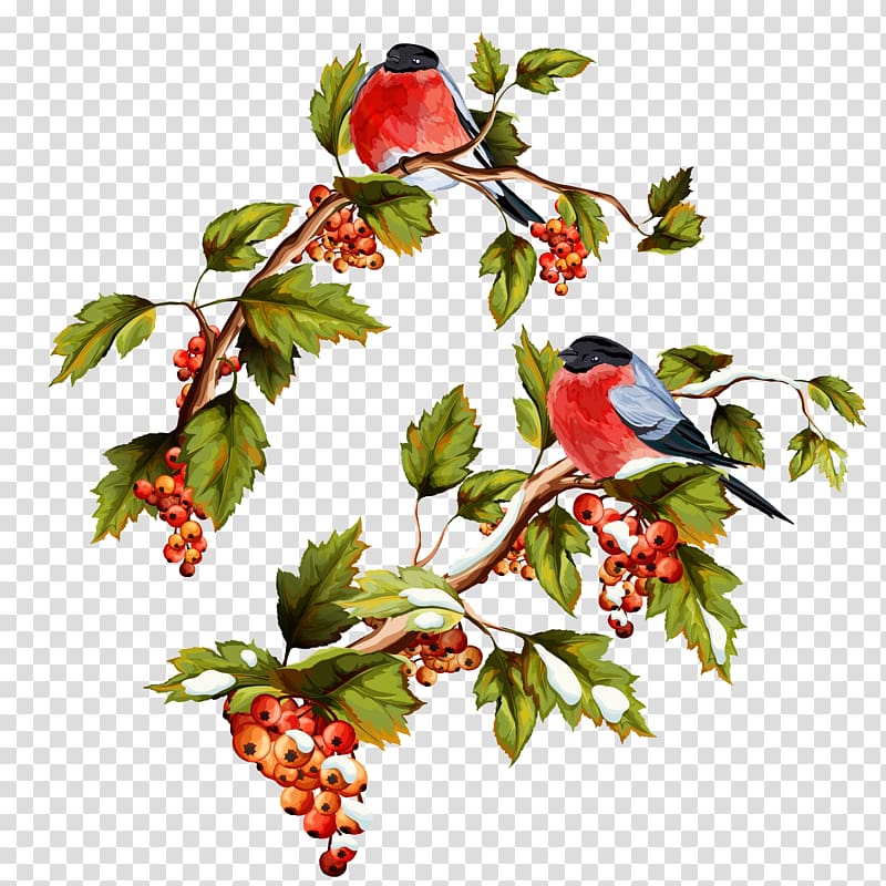 red birds on red fruit tree illustration, Illustration, Flowers and birds do not pull the transparent background PNG clipart