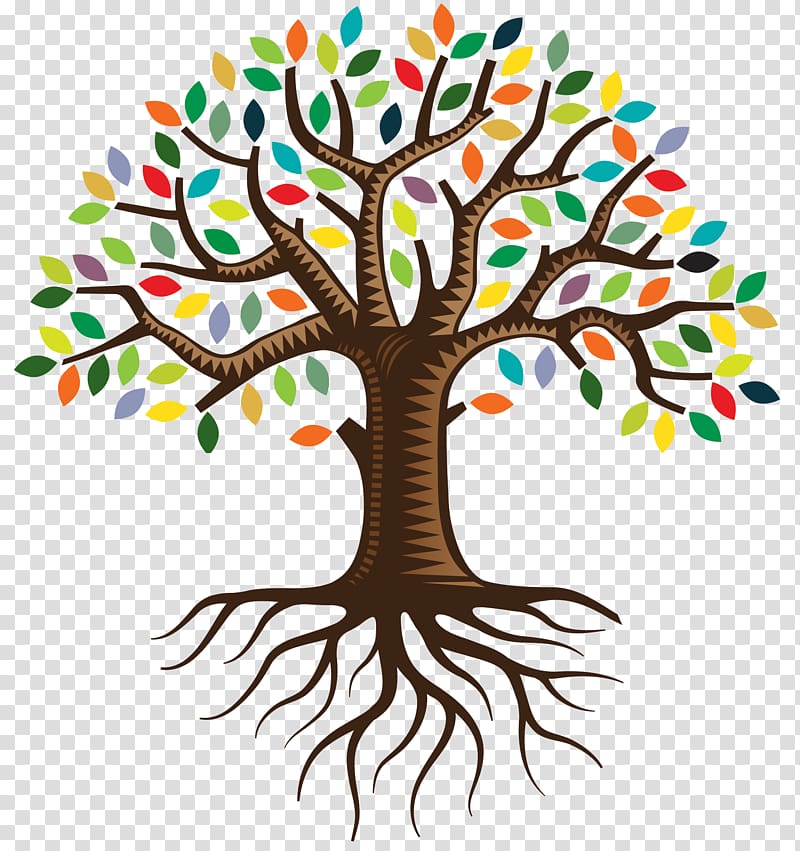 Root QC Family Tree Logo , family tree transparent background PNG clipart