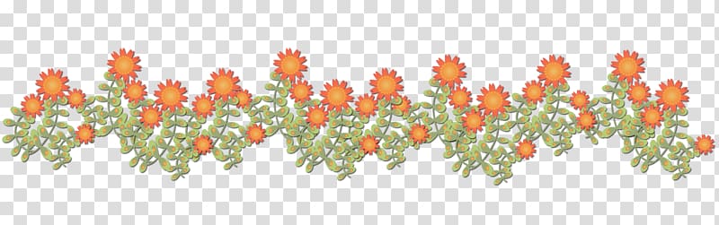 Bell pepper Chili pepper Flower Window Valances & Cornices France Télécom, flower transparent background PNG clipart