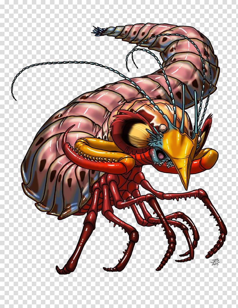 Lobster Insect Dragon Cartoon, Mantis Shrimp transparent background PNG clipart
