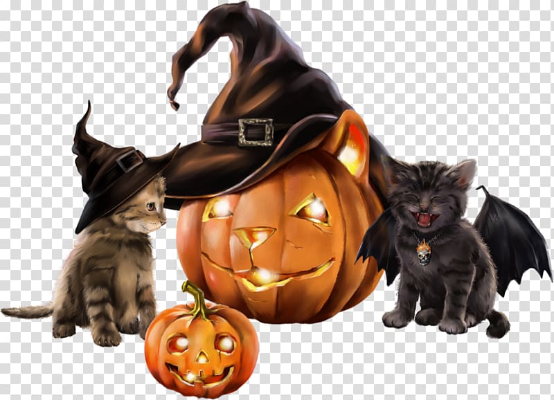 Black cat Kitten Halloween witch, kitten transparent background PNG clipart