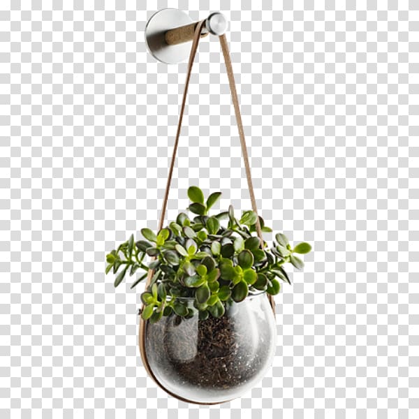 Holmegaard Flowerpot Cachepot Glass Light, Pot plant transparent background PNG clipart